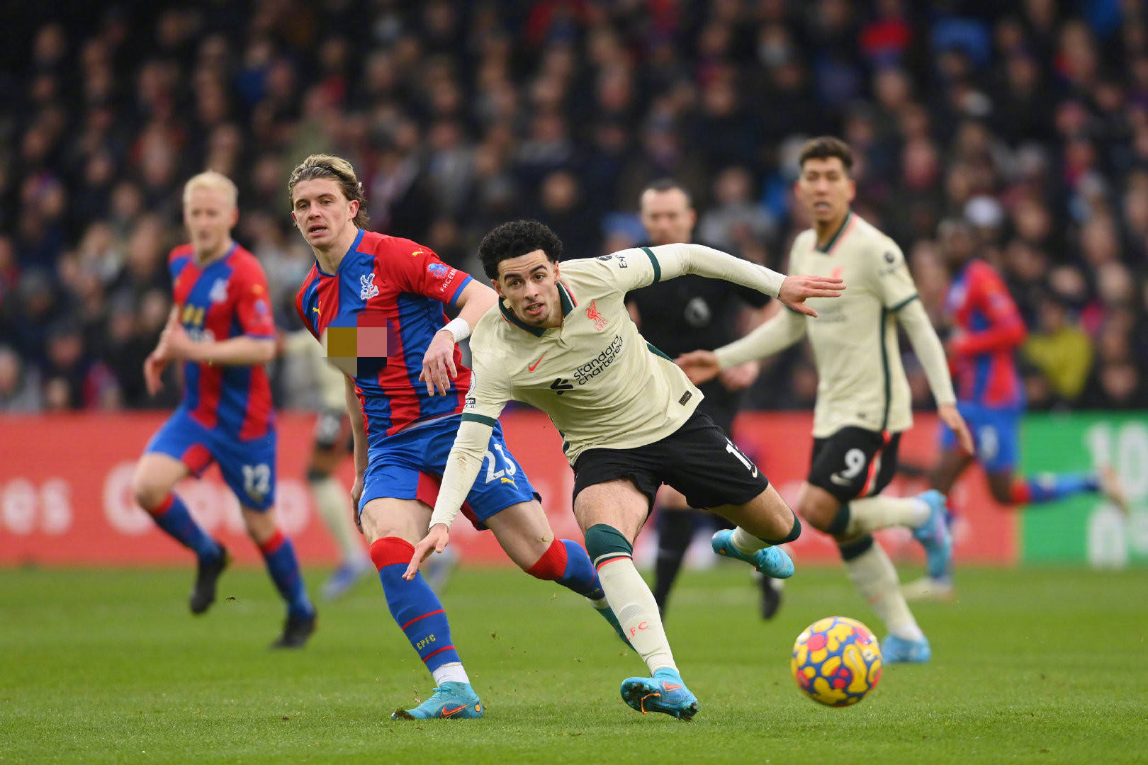 的感知能力 的感知能力