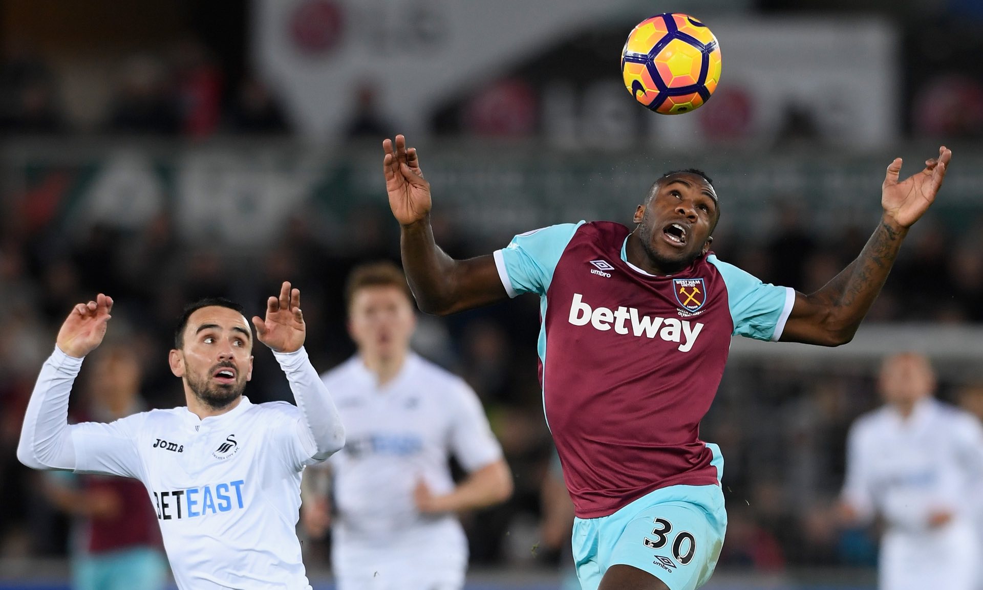 外国游客数 外国游客数